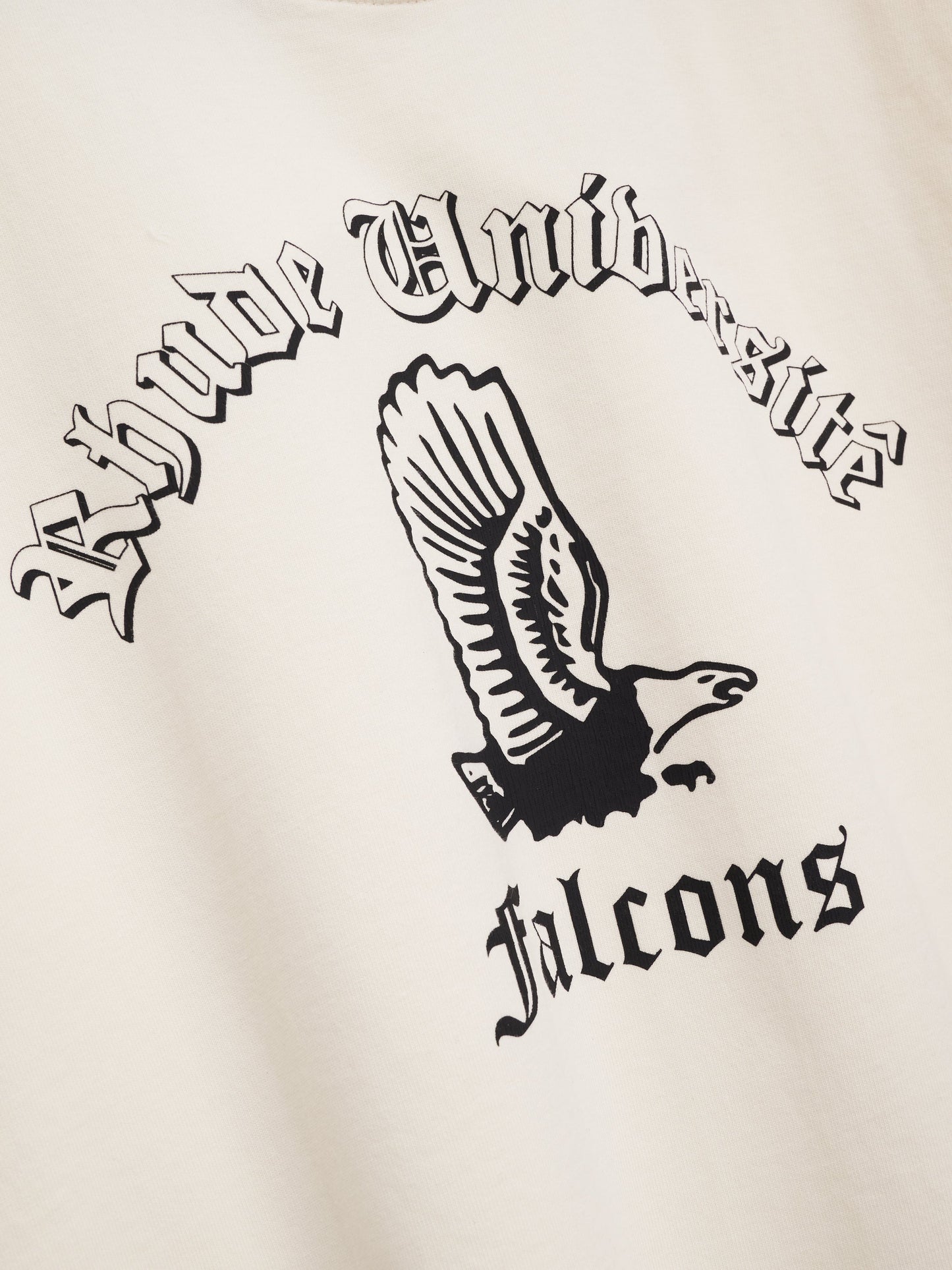 COLLEGIATE FALCONS TEE - VINTAGE WHITE\/ BLACK